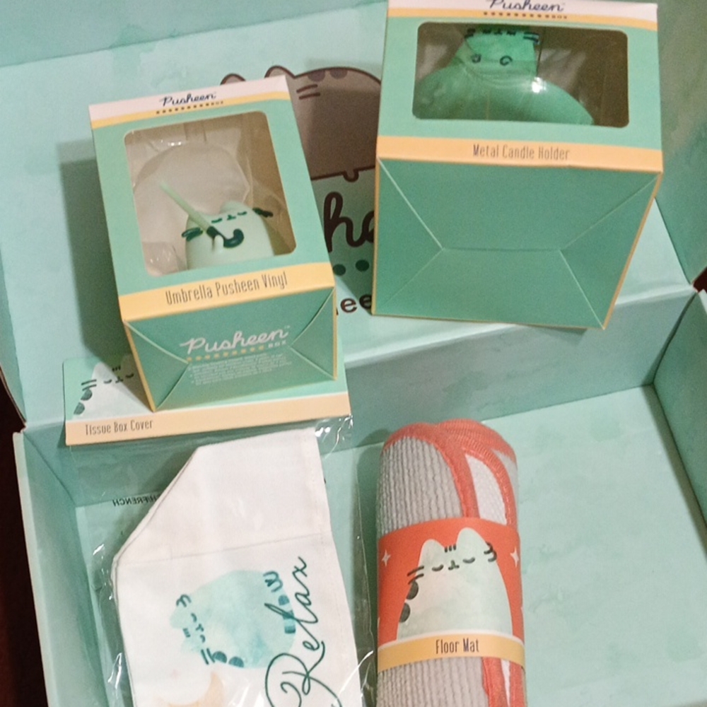 Pusheen items